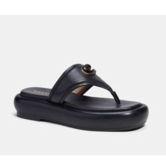 Coach slides - Picture 4 of 4